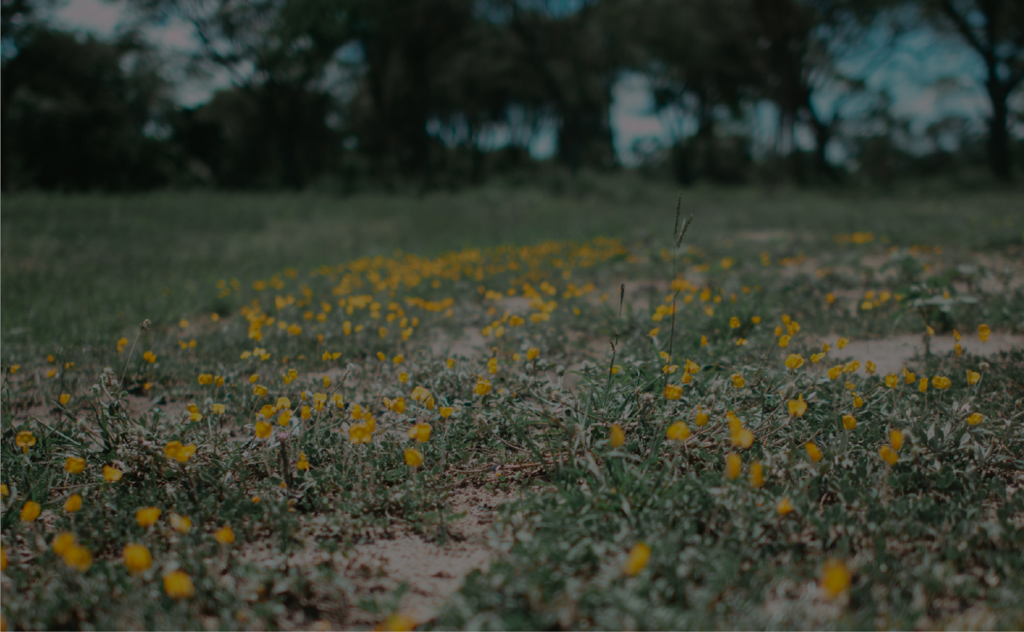 Beneficios de vivir en un barrio privado en Corrientes